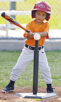 Daniel Martinez focuses on the ball as he prepares to hit it during his Noon Lions T-Ball game Tuesday at Schumacher Fields at Acme Brick Park. CDN | Sam Goodwyn