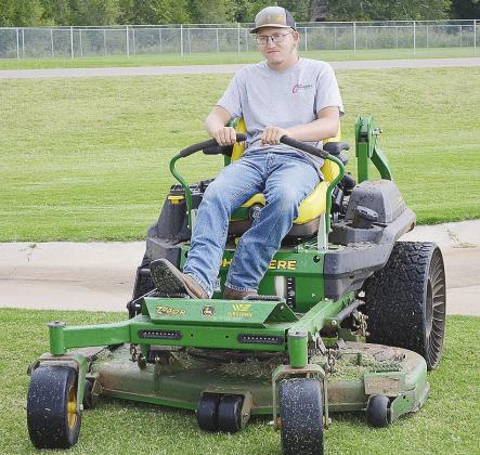 Yard maintenance