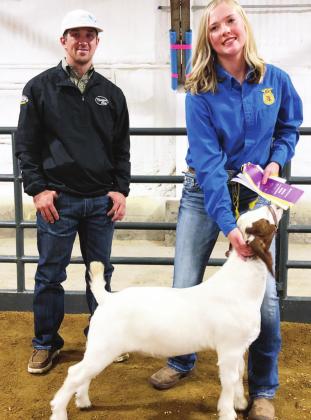Grand Champions crowned at livestock show