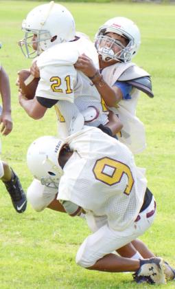 CMS hopeful for healthy,