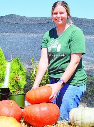 Mini-pumpkin patch