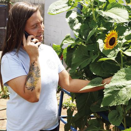 CDN | Christian Jacobsen Mission House Director Jennifer Lee checks the sunflowers growing in the community garden while on the phone with locals needing information.