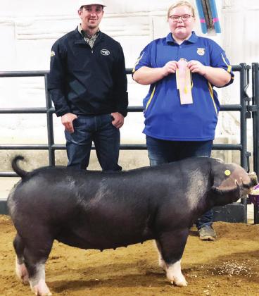 Grand Champions crowned at livestock show