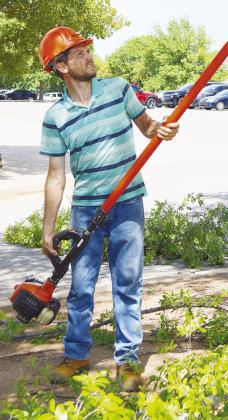 Gary Bender trims excess branches off the trees outside of the Frisco Center. CDN | Micah Ashcraft