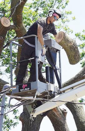 Local loggers