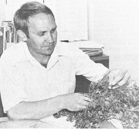 40 YEARS AGO Custer County Extension Center offices had been greatly expanded in the new courthouse at Arapaho with individual offices for extension officials and expanded space for the secretaries and for storage. Extension Director Ladd Hudgins was show