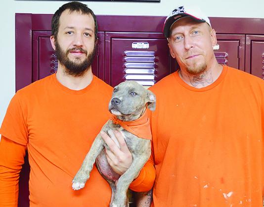 Trustees Chad McGee, left, and Catlin Frazier show off new Custer County Jail therapy dog Cellie Mae in her county orange uniform. CDN | Micah Ashcraft