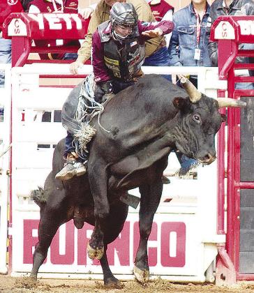 Wacey Schalla holds on tight to the bull during the Calgary Stampede last weekend in Calgary, Alberta, Canada. CDN |Courtesy Photo