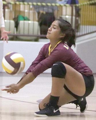 Lady Reds volleyball ends season