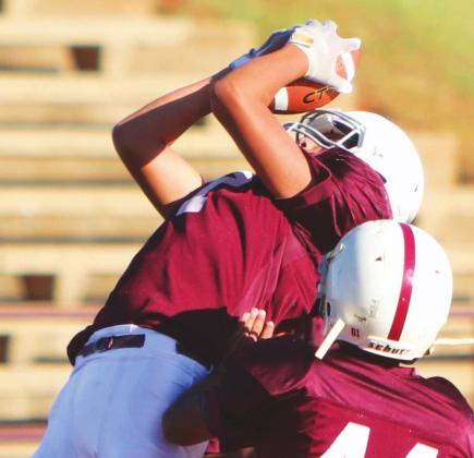 OB&T's Rising Stars 