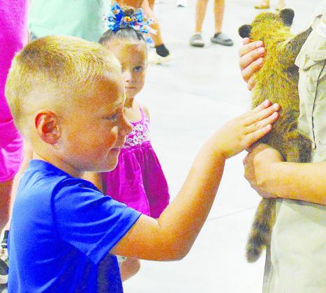 Raylon Rennels pets one of the animals recently brought to the Frisco Center for the Clinton Public Library’s weekly performance as part of its Summer Reading Program. CDN | Micah Ashcraft