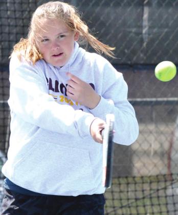Clinton sees solid placers at Elk City