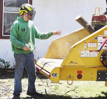 Tree work