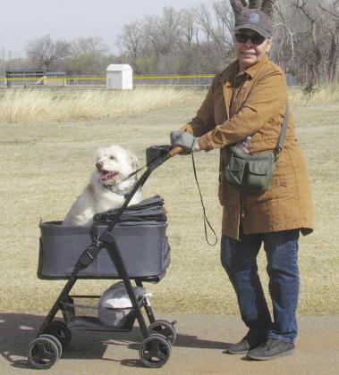 Taking a stroll