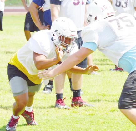 Nguyen brings scrappy mentality
