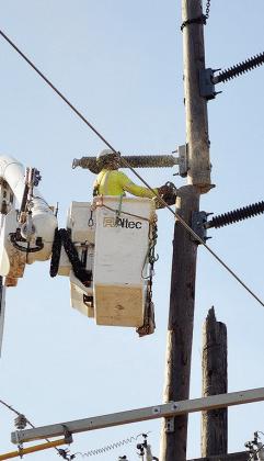 Scott Huber trims the top of an old electrical pole on 28th street. CDN | Sam Goodwyn