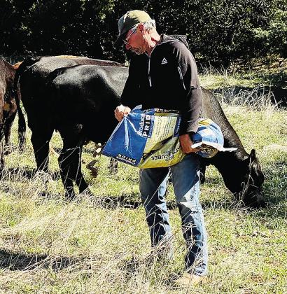 Kelly Gaunt puts down feed for his cattle out in the field. CDN | Courtesy photo