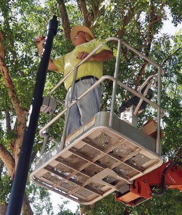 Chuck Fischer of Williams Electric helps install new lights Thursday at the McLain Rogers Park Amphitheater in anticipation of “Oklahoma!” being performed at the venue. CDN | Christian Jacobsen