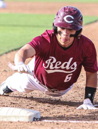 Reds exterminate Yellowjackets