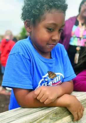 Izaiah Collins remains still as a butterfly lands on his shirt Tuesday during the butterfly release at Nance Elementary. CDN | Courtesy photo