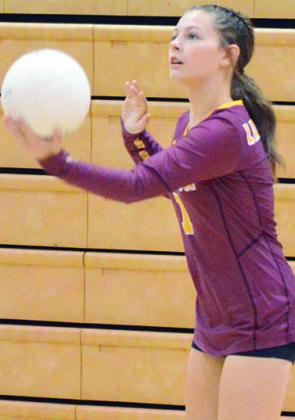  Lady Reds volleyball falls to Newcastle