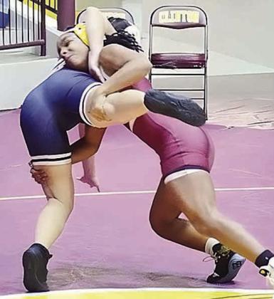 Lady Reds wrestling has successful first year