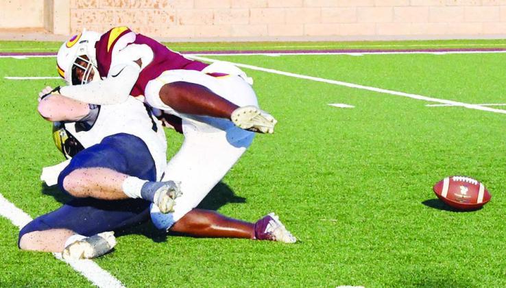 Strip sack