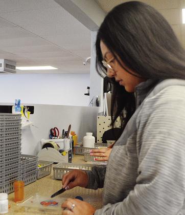 Stephanie Villanueva counts out a number of pills while filling a patient’s prescription at Western Drug Pharmacy. CDN | Micah Ashcraft