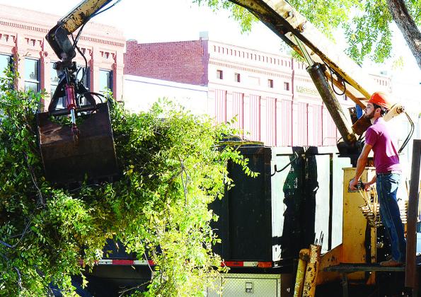 Lyle Bender uses a clamp to organize all of the loose branches in the back of the truck to haul away from Engleman Park. CDN | Sam Goodwyn