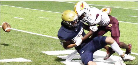 Clinton stings Kingfisher