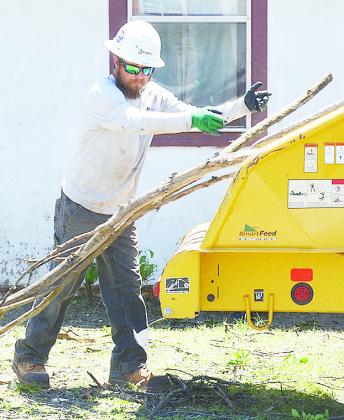 Tree trimming
