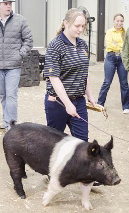 Fine swine