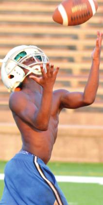OB&T's Rising Stars