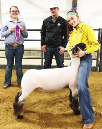 Grand Champions crowned at livestock show