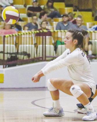 Lady Reds volleyball ends season