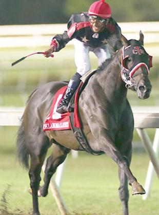 Absaroka wins Horse of the Year award