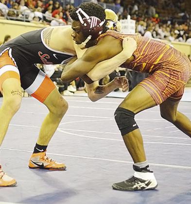 Two take third at state wrestling tourney