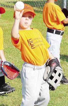 Robert Cornell throws the ball prior to his Noon Lions TBall game at Schumacher Fields at Acme Brick Park. CDN | Sam Goodwyn