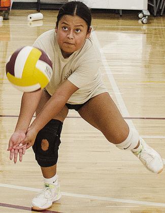 Naillei Ramos gets low to the ground during practice as she attempts to hit the ball back over the net. CDN | Sam Goodwyn