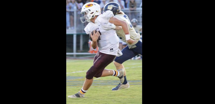 Dalton Denney