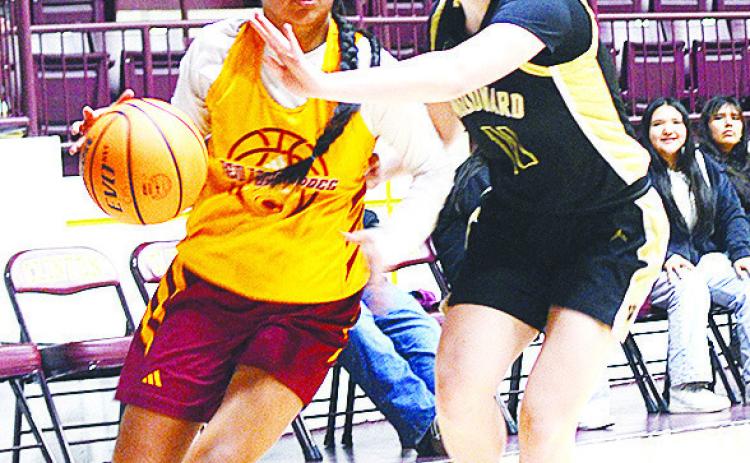AJ Spottedwolf drives by a Woodward defender during the Clinton Lady Reds’ JV game against the Lady Boomers at the Tornado Dome. CDN | Sam Goodwyn