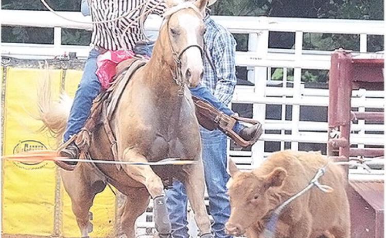 Clinton Roundup Club holds first pro rodeo