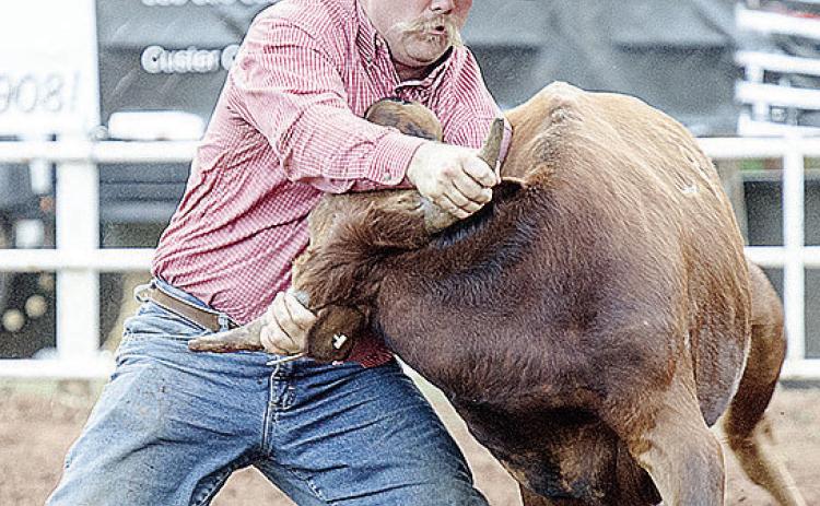Hunter Washburn wrestles the steer during the rodeo Saturday at the Clinton Round-Up Club Arena. CDN | Sam Goodwyn