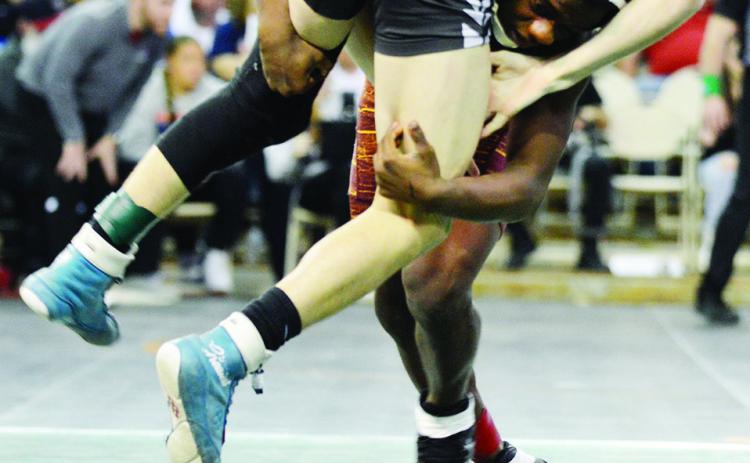 Sophomores shine at state