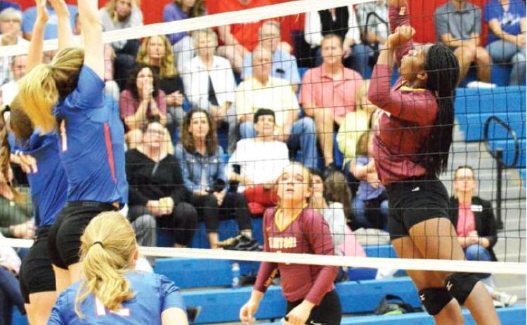 Jefferson is Lady Reds’ cornerstone
