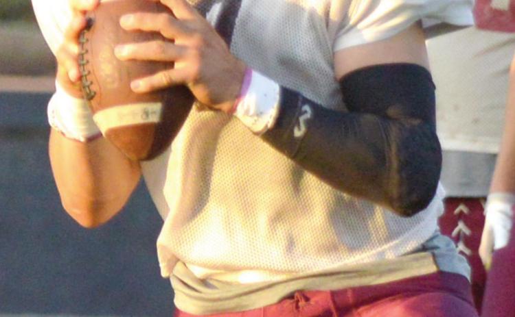 Reds host Darko tonight in final scrimmage
