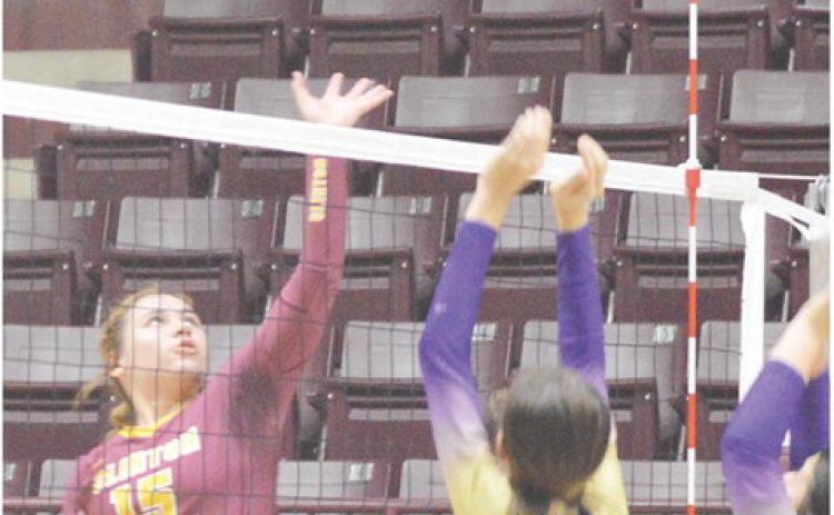 CHS senior sees multiple future paths
