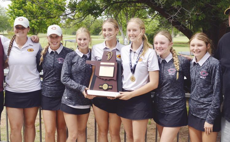 Lady Reds win academic title