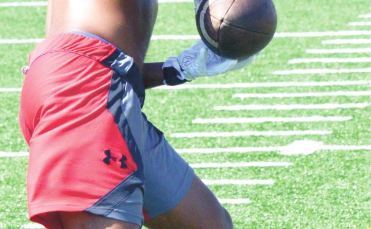 OB&T's Rising Stars