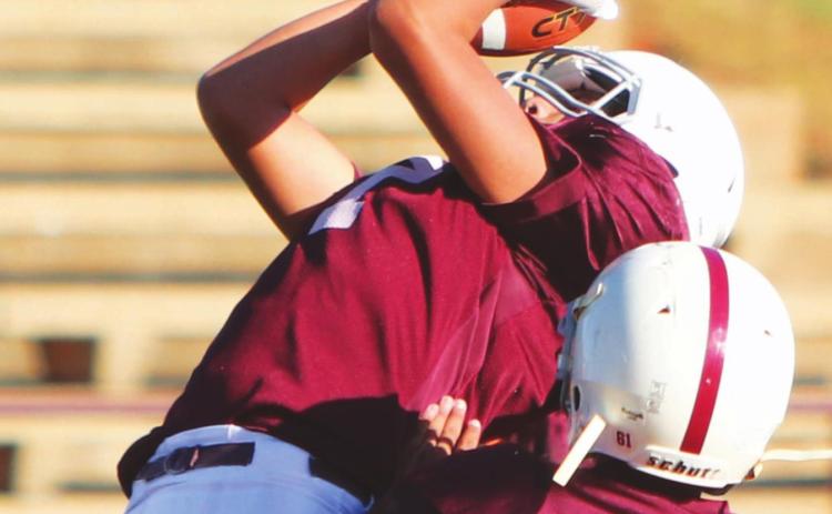 OB&T's Rising Stars